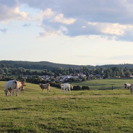 Ctyri Pokoje Tachov  Exterior photo